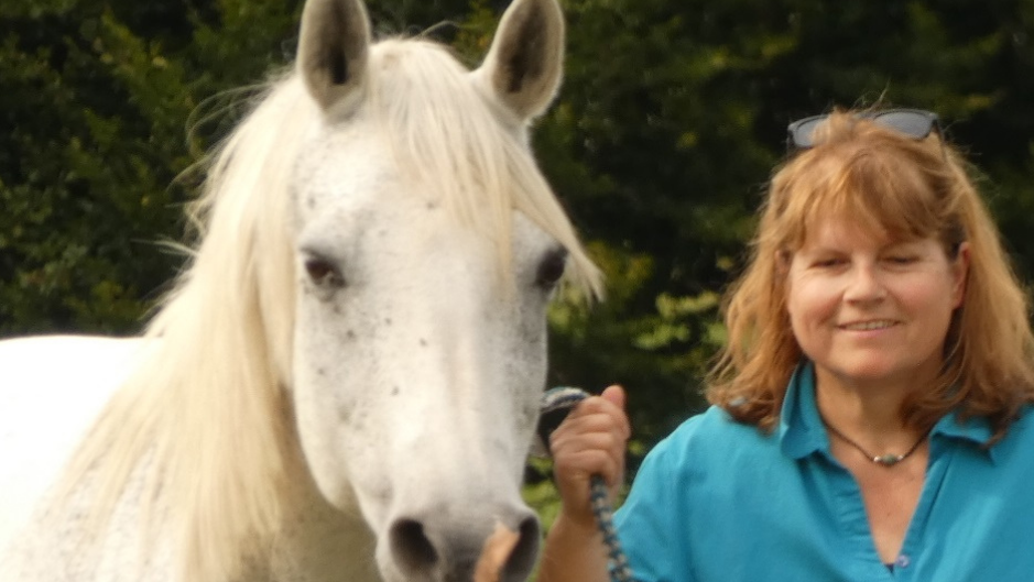 cropped bild 1.png